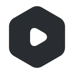 Video Octagon SVG Icon